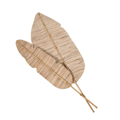 Zoco Home Home accessories Banana Leaf | 32x200cm