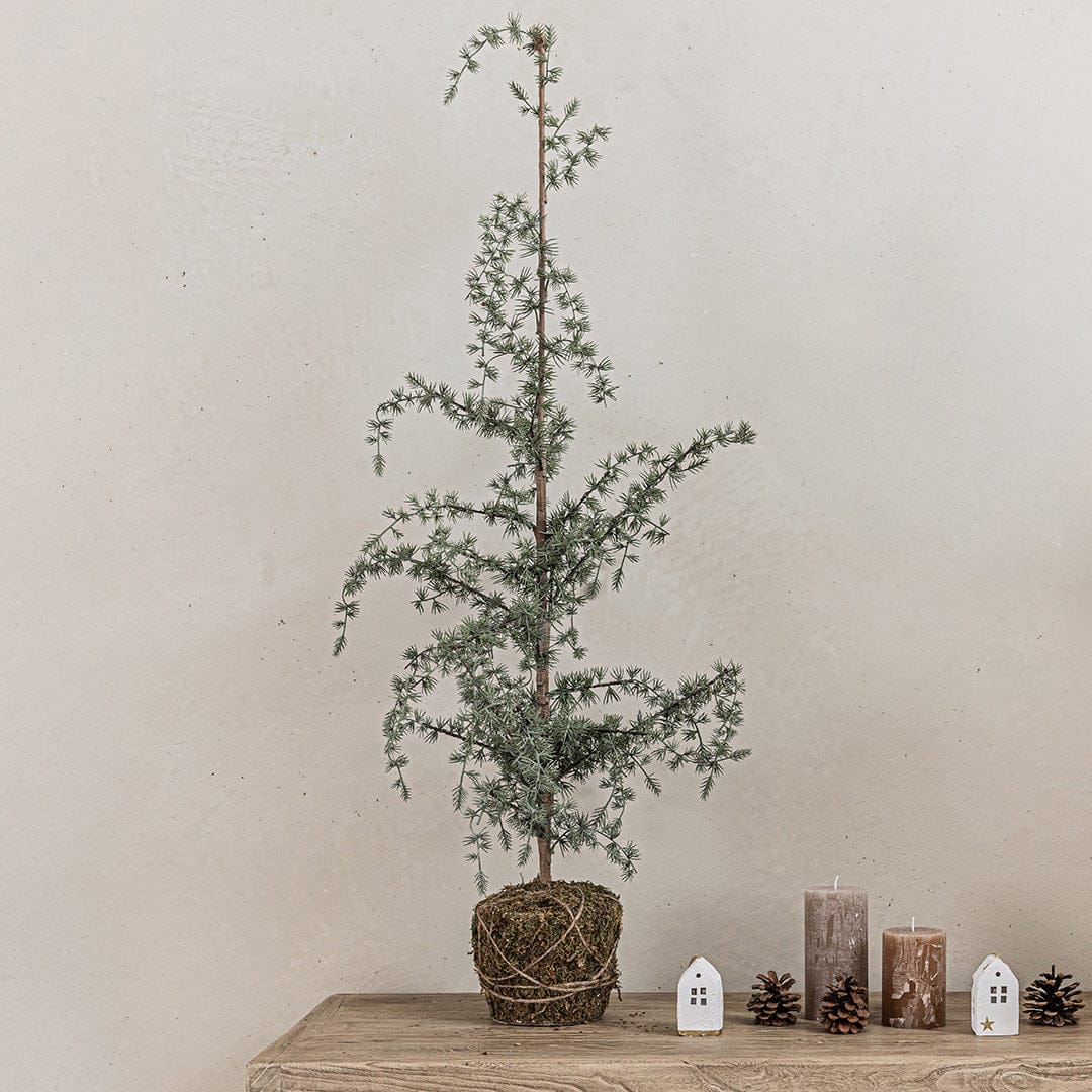 Zoco Home Decor/Christmas Christmas Tree