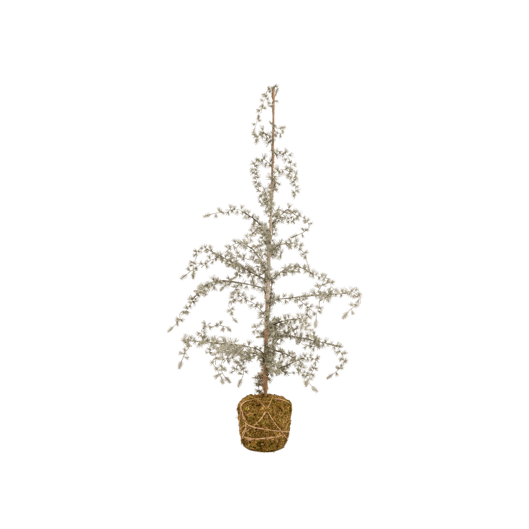 Zoco Home Decor/Christmas Christmas Tree