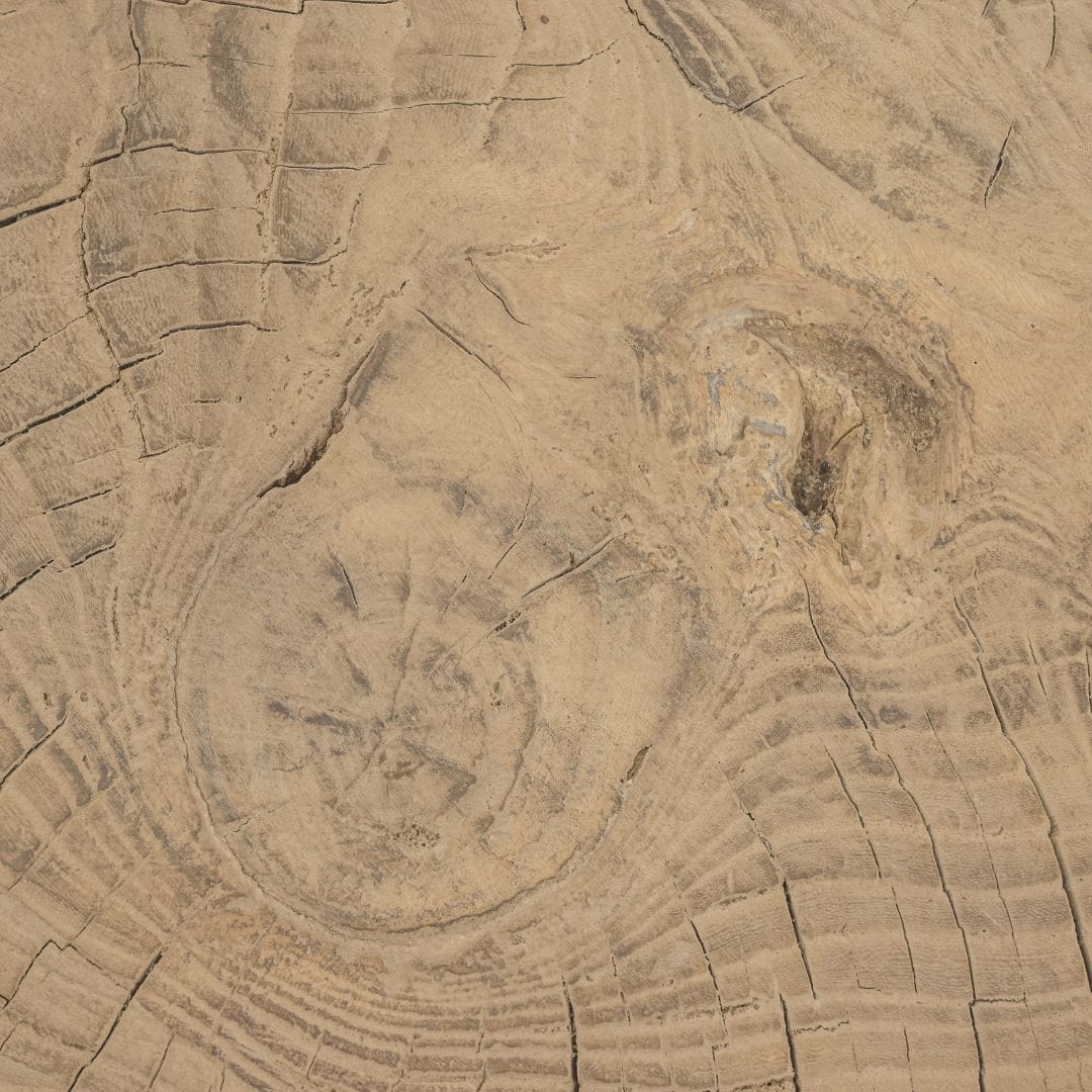 Zoco Home Furniture/Table/Coffee Table/LE Olia Coffee Table