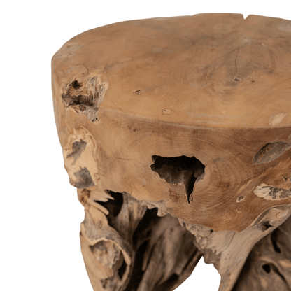 Zoco Home Furniture Root Stool