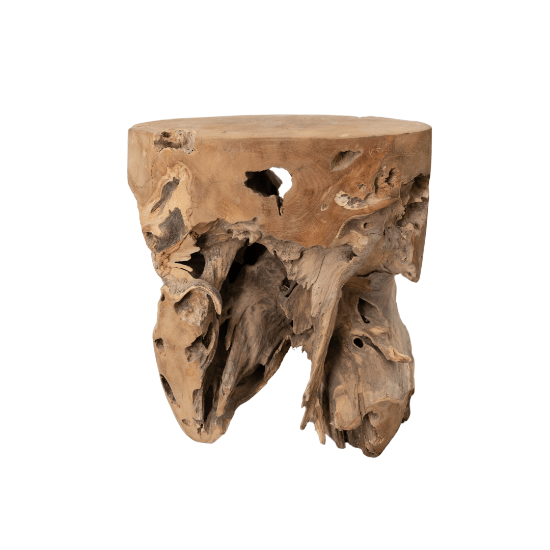 Zoco Home Furniture Root Stool