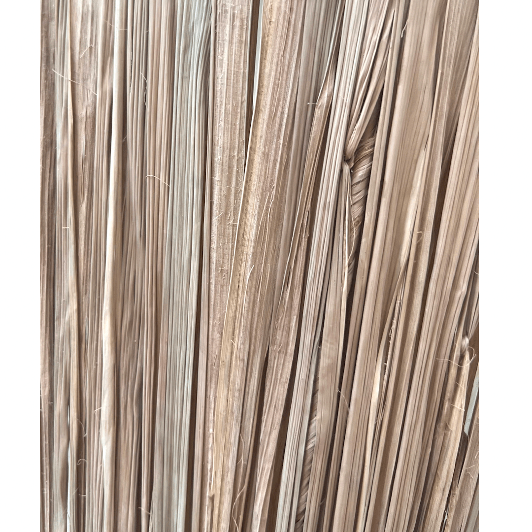 Zoco Home Decor/Lighting/Wall Lighting Seagrass Wall Lamp | S