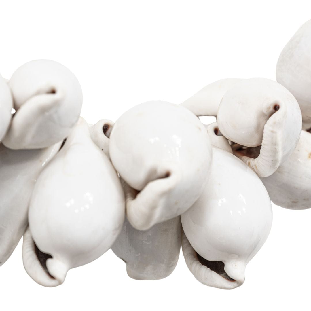 Zoco Home Decor/Accessories Shell necklace Asha - C16
