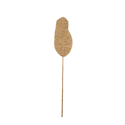 Zoco Home Home accessories Sisal Leaf